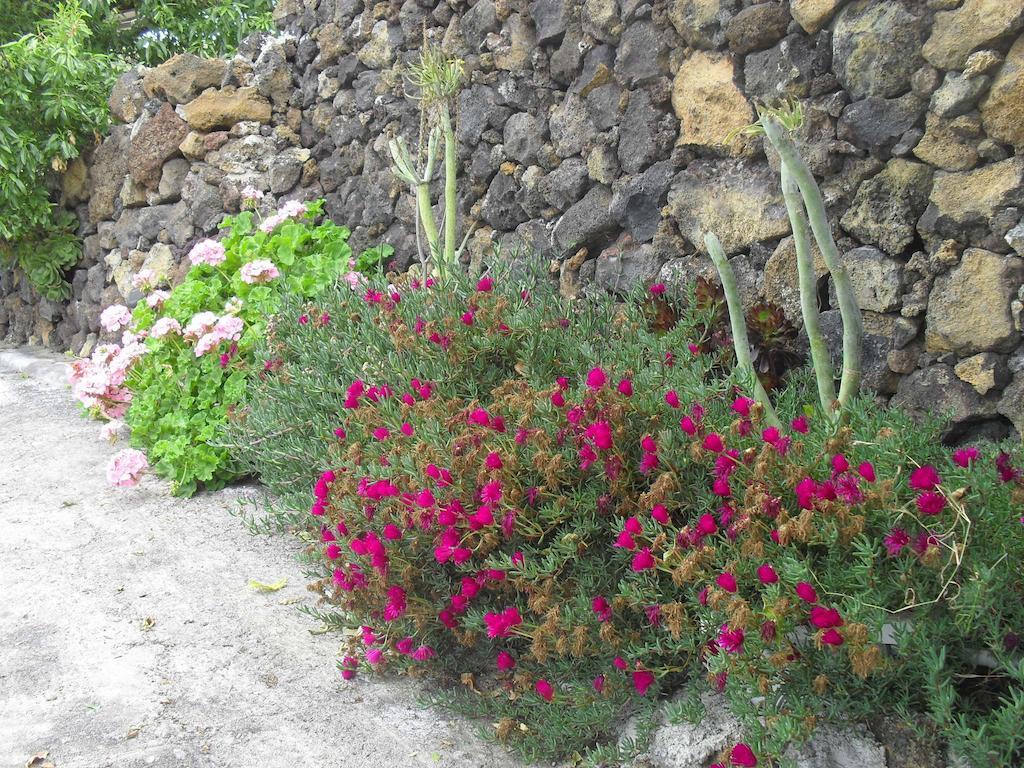 Casa Rural Abuelo Pancho Las Casas  Dış mekan fotoğraf